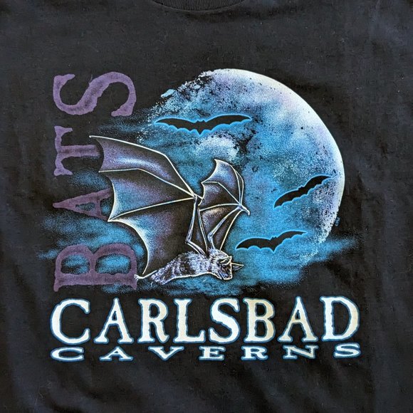 90's Bats Carlsbad Caverns Large Glows in the Dark* - Picture 2 of 6